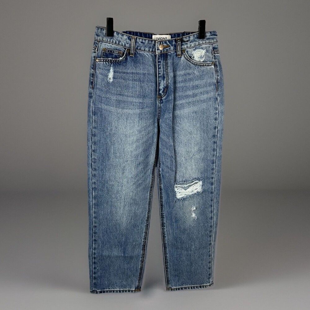Anthropologie EVIDNT MALIBU Girlfriend Size 26 Blue Denim Shredded Hems Back Leg